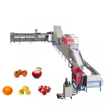 Complete Fruit Juice Production Line / Plum Sauce Production Line & Muskmelon Juice Processing Line& Watermelon Juice Processing Line