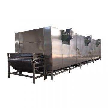 Turnkey Preserved Fruit and Vegetable Processing Line Candied Fruit Production Plant Dried Fruit and Vegetable Project Candied Preserved Fruit Processing Line